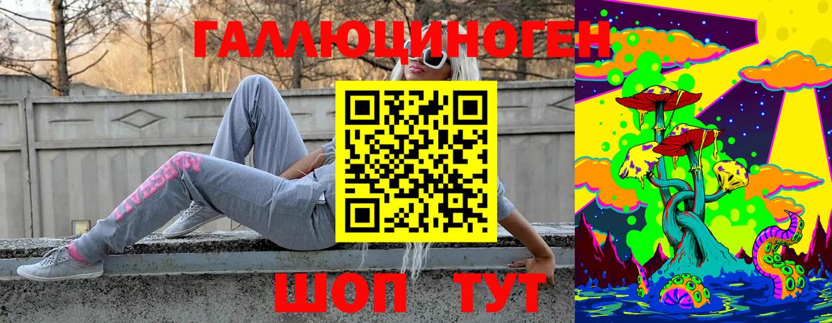Галлюциногенные грибы Psilocybine cubensis Коркино